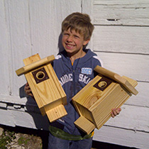 William and Blue Bird Boxes